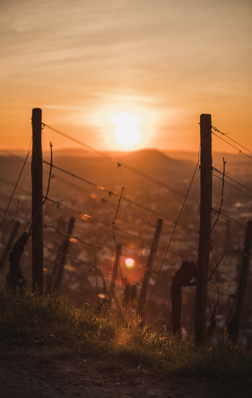 HEIMAT13