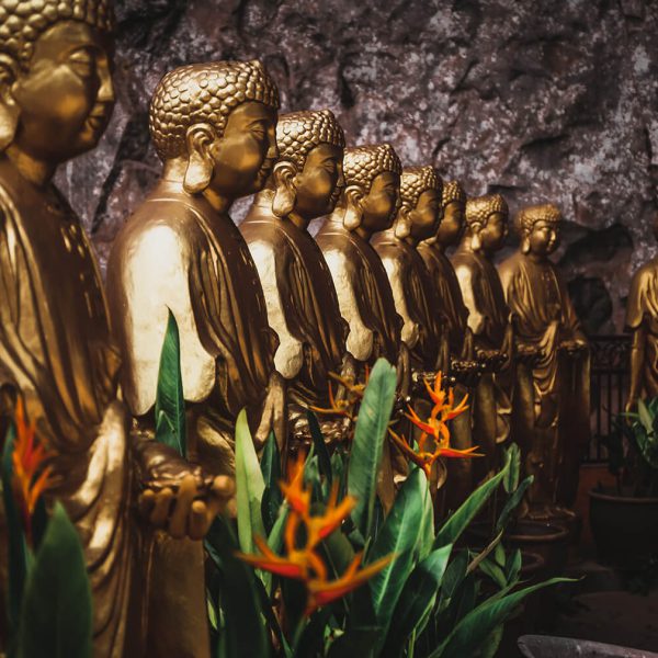 Foto mehrerer goldener Buddha-Statuen und dekorativer Pflanzen in einer Tempelanlage in Ipoh