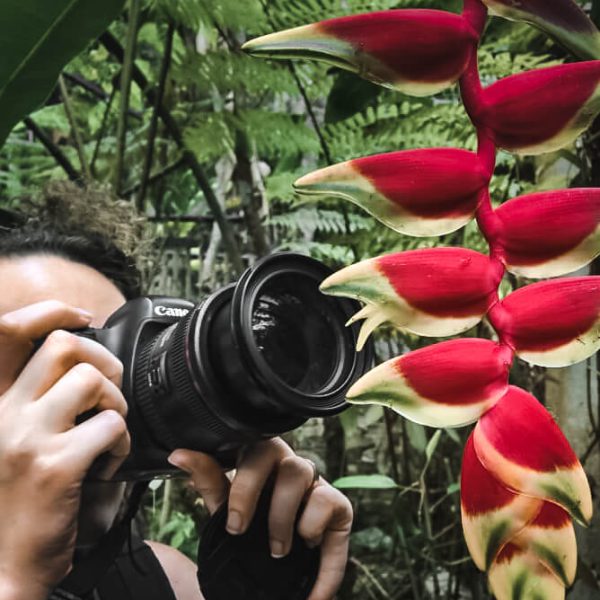 Nadine Normann fotografiert Ameisen auf Pflanze